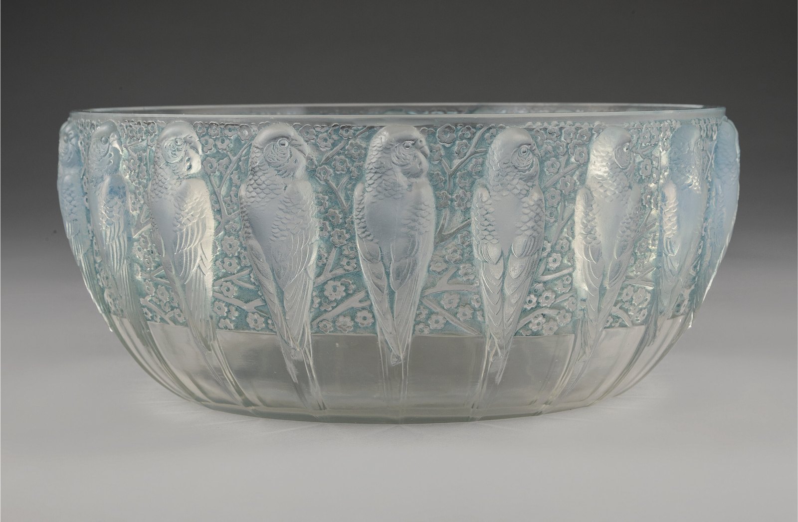 Perruches Bowl
